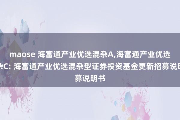 maose 海富通产业优选混杂A,海富通产业优选混杂C: 海富通产业优选混杂型证券投资基金更新招募说明书