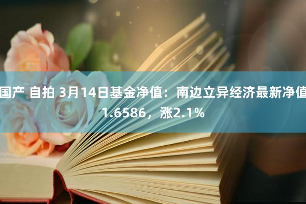 国产 自拍 3月14日基金净值：南边立异经济最新净值1.6586，涨2.1%