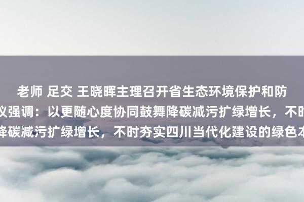 老师 足交 王晓晖主理召开省生态环境保护和防守使命指引小组合座会议强调：以更随心度协同鼓舞降碳减污扩绿增长，不时夯实四川当代化建设的绿色本底