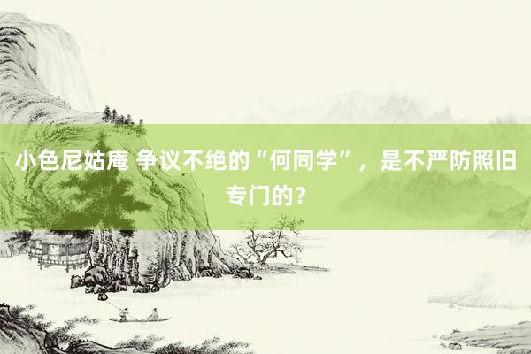 小色尼姑庵 争议不绝的“何同学”，是不严防照旧专门的？