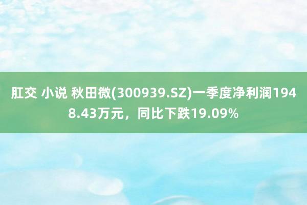 肛交 小说 秋田微(300939.SZ)一季度净利润1948.43万元，同比下跌19.09%