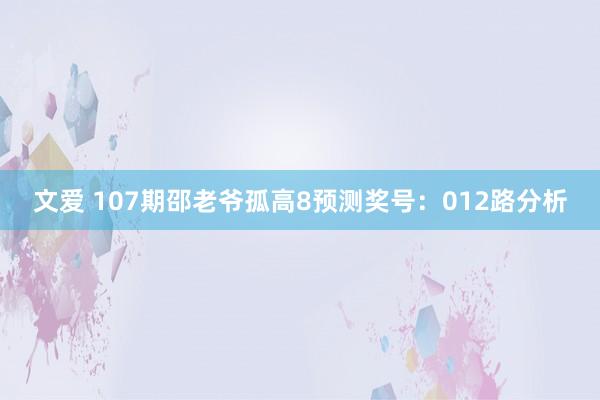 文爱 107期邵老爷孤高8预测奖号：012路分析